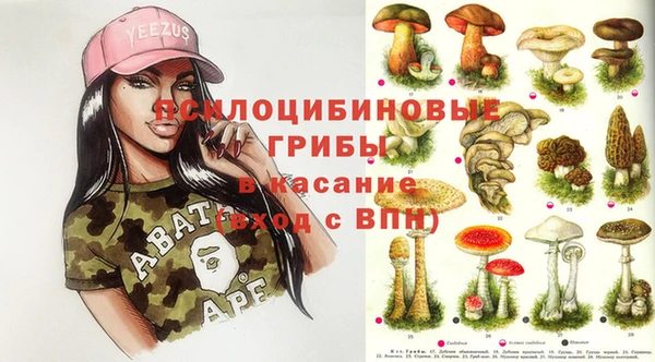 метадон Абаза