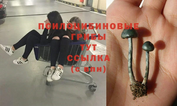 не бодяженный Абдулино